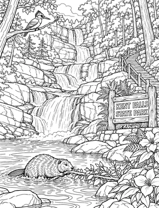 Detailed coloring page of Kent Falls Cascades and Ravine Stair