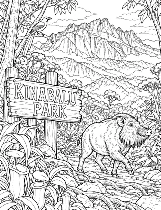 Detailed coloring page of Kinabalu Park Granite Summit