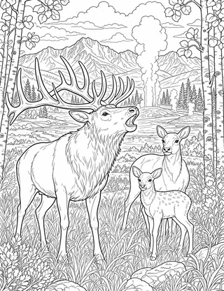 Detailed coloring page of Sweeping Lamar Valley Pastures